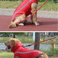 Waterproof Padded Winter Dog Jacket