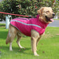 Waterproof Padded Winter Dog Jacket