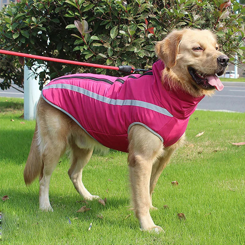 Waterproof Padded Winter Dog Jacket