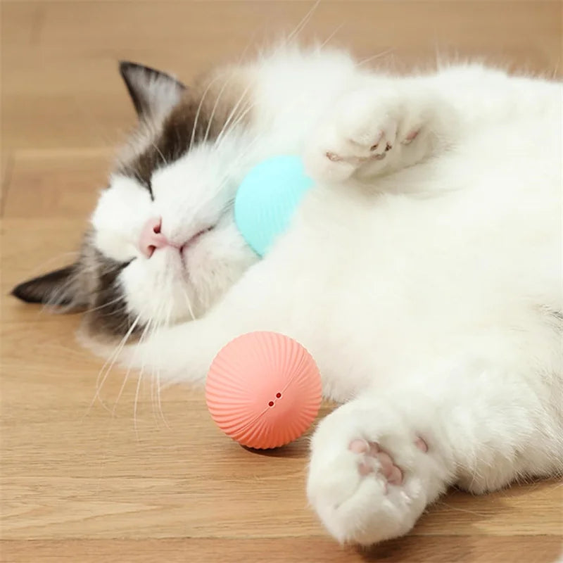 Smart Interactive Pet Toy Ball