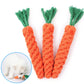 Carrot Dog Bite Rope Toy