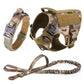 Large Dog Harness & Leash Set