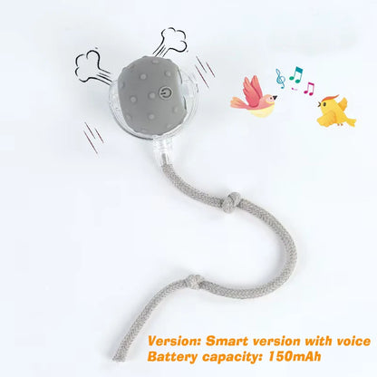 Automatic Rolling Interactive Dog Ball