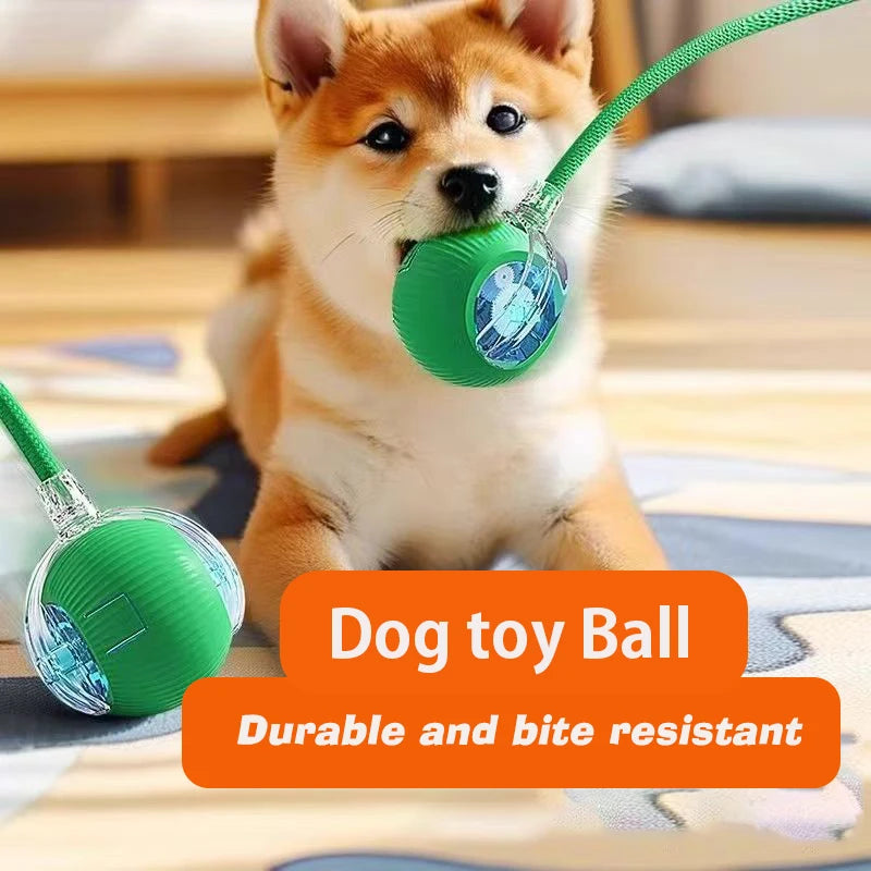 Automatic Rolling Interactive Dog Ball