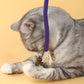 Durable Cat Bite Rope Toy
