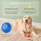 Smart Interactive Pet Toy Ball