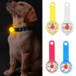 Weatherproof USB Rechargeable LED Pet Collar