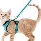 Adjustable Cat Harness & Leash