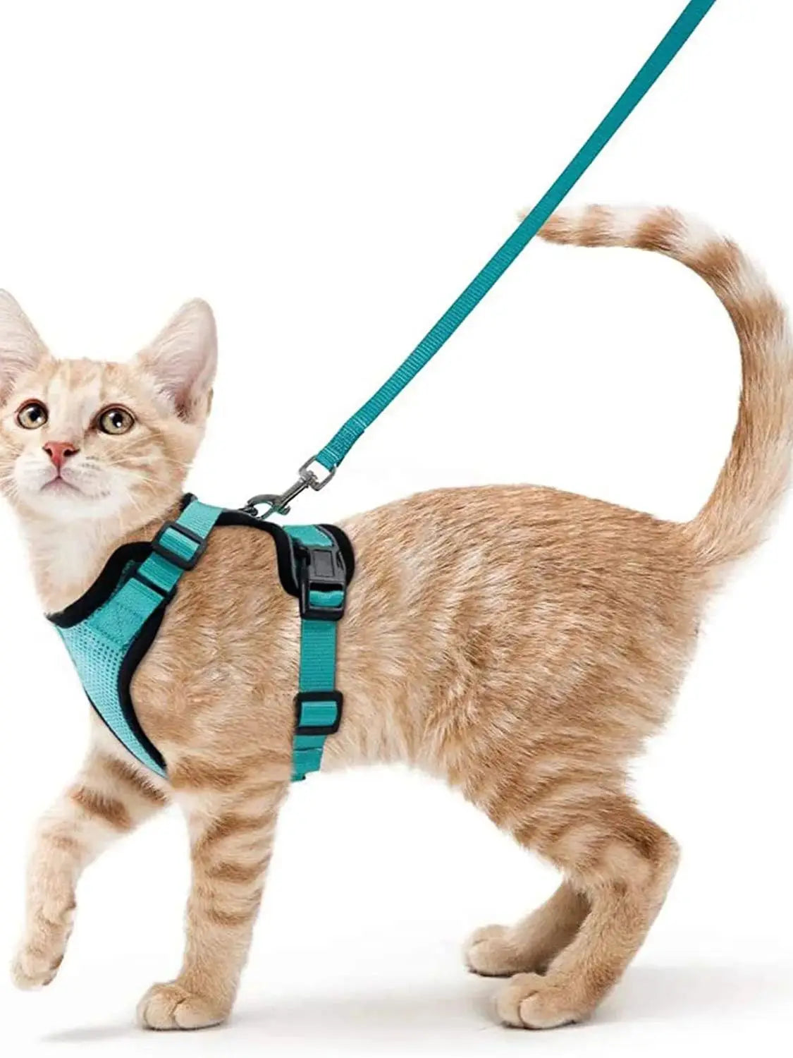 Adjustable Cat Harness & Leash