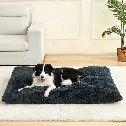 Soft Dog & Cat Bed