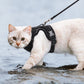 Adjustable Cat Harness & Leash
