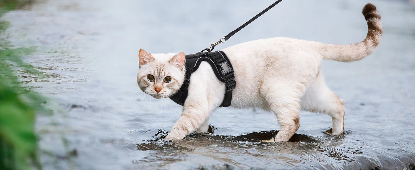 Adjustable Cat Harness & Leash