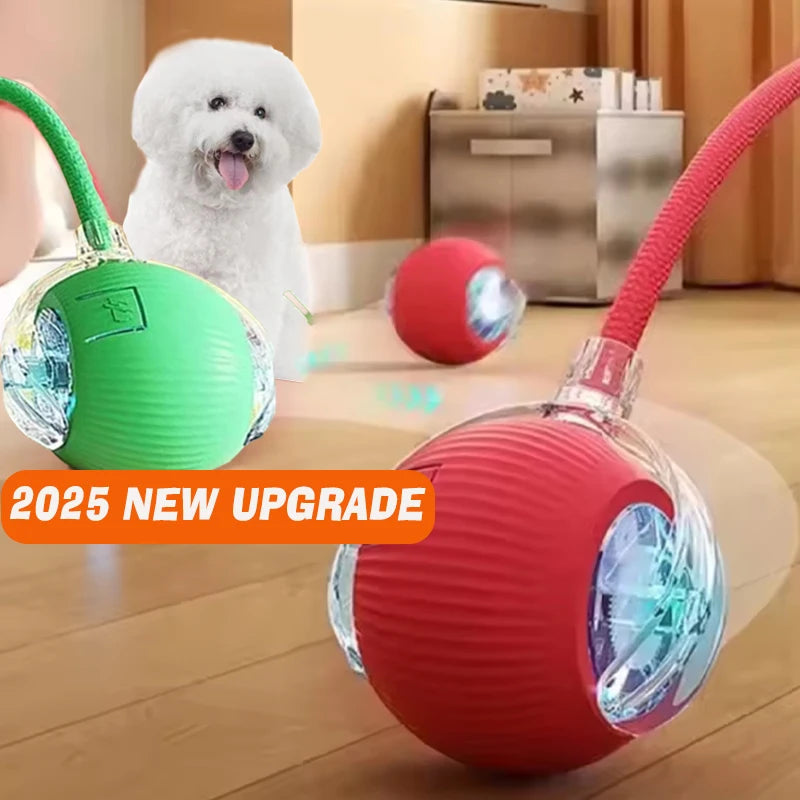 Automatic Rolling Interactive Dog Ball