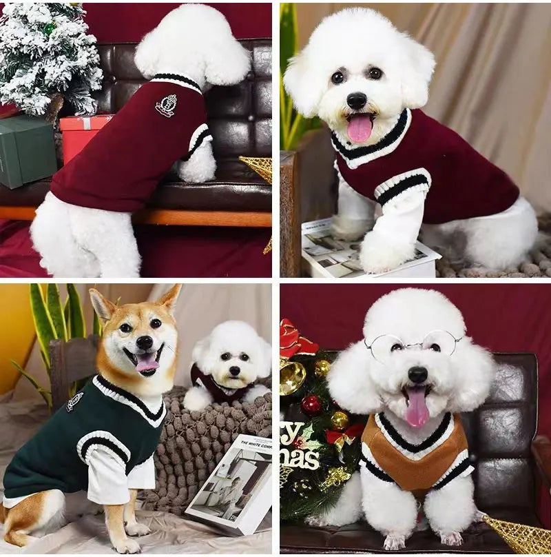 V-Neck Knit Dog Sweater