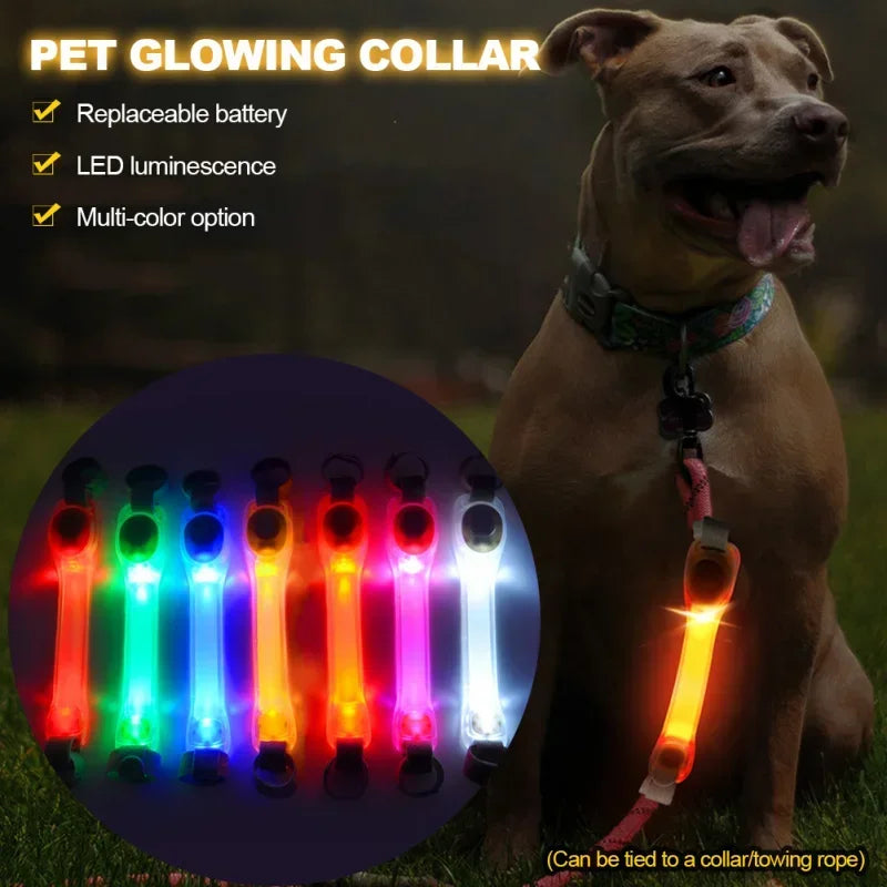 Waterproof LED Anti-Lost Dog Collar