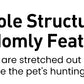 2-in-1 Smart Cat Toy