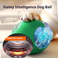 Automatic Rolling Interactive Dog Ball