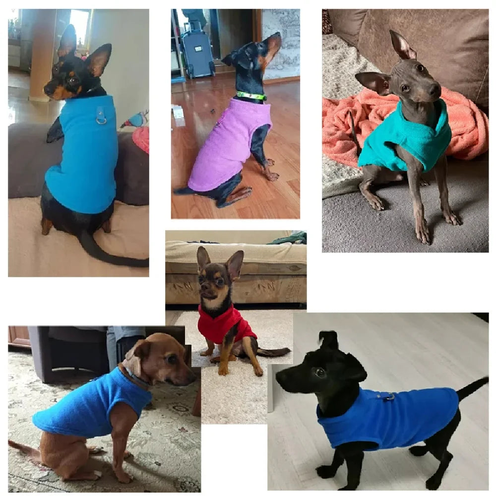Soft Wool Pet Dog & Cat Jacket