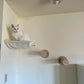 Wall-Mounted Cat Climbing Shelves with Hammock & Scratching Post