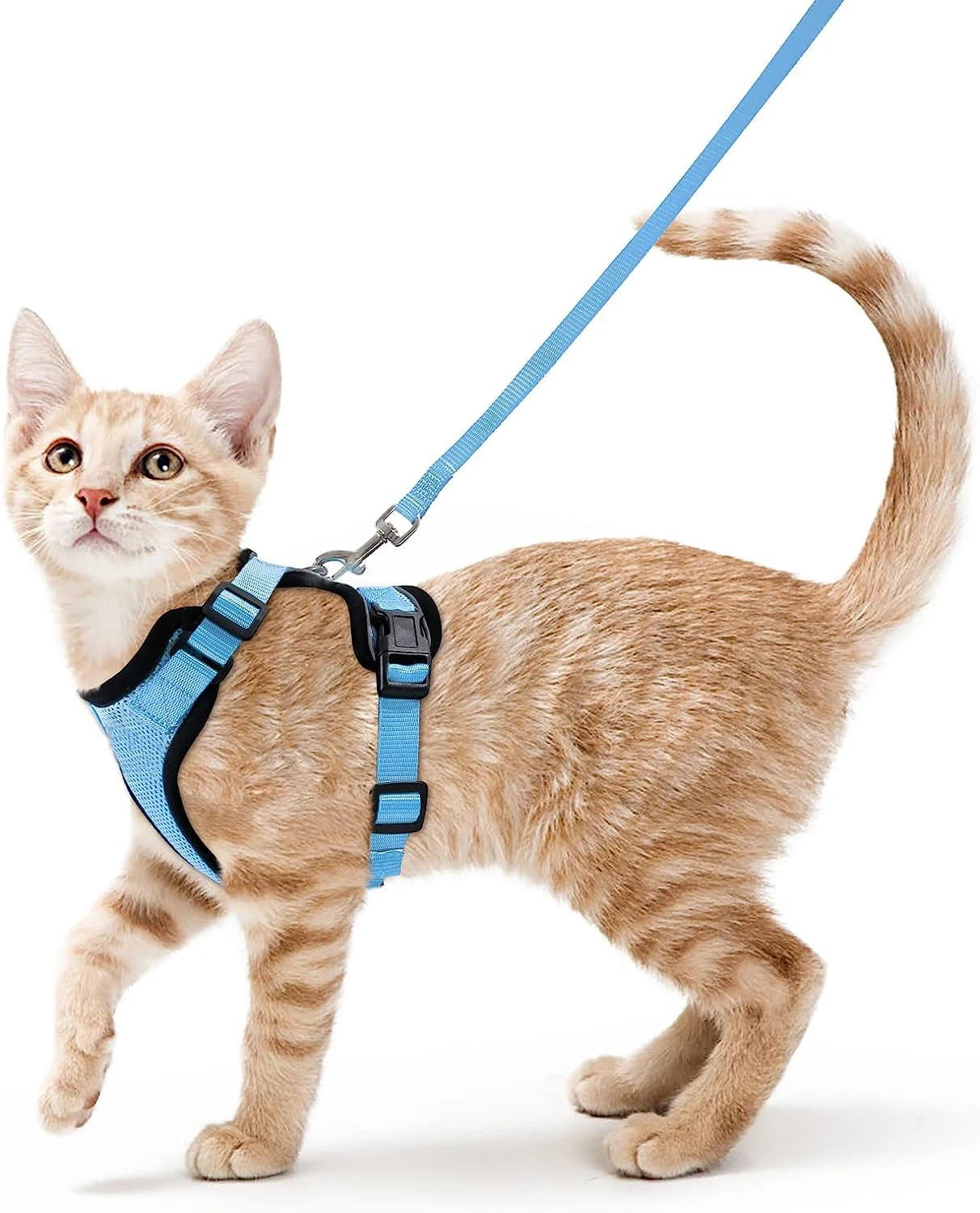 Adjustable Cat Harness & Leash