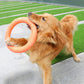 Orange EVA Dog Flying Training Ring