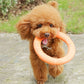 Orange EVA Dog Flying Training Ring