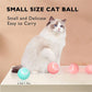 Smart Interactive Pet Toy Ball