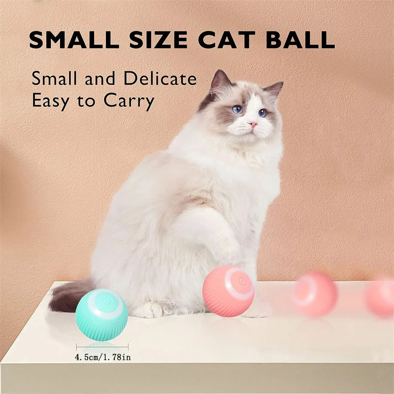 Smart Interactive Pet Toy Ball
