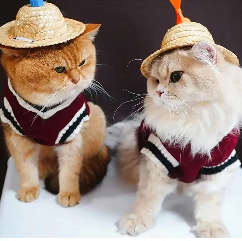 V-Neck Knit Dog Sweater