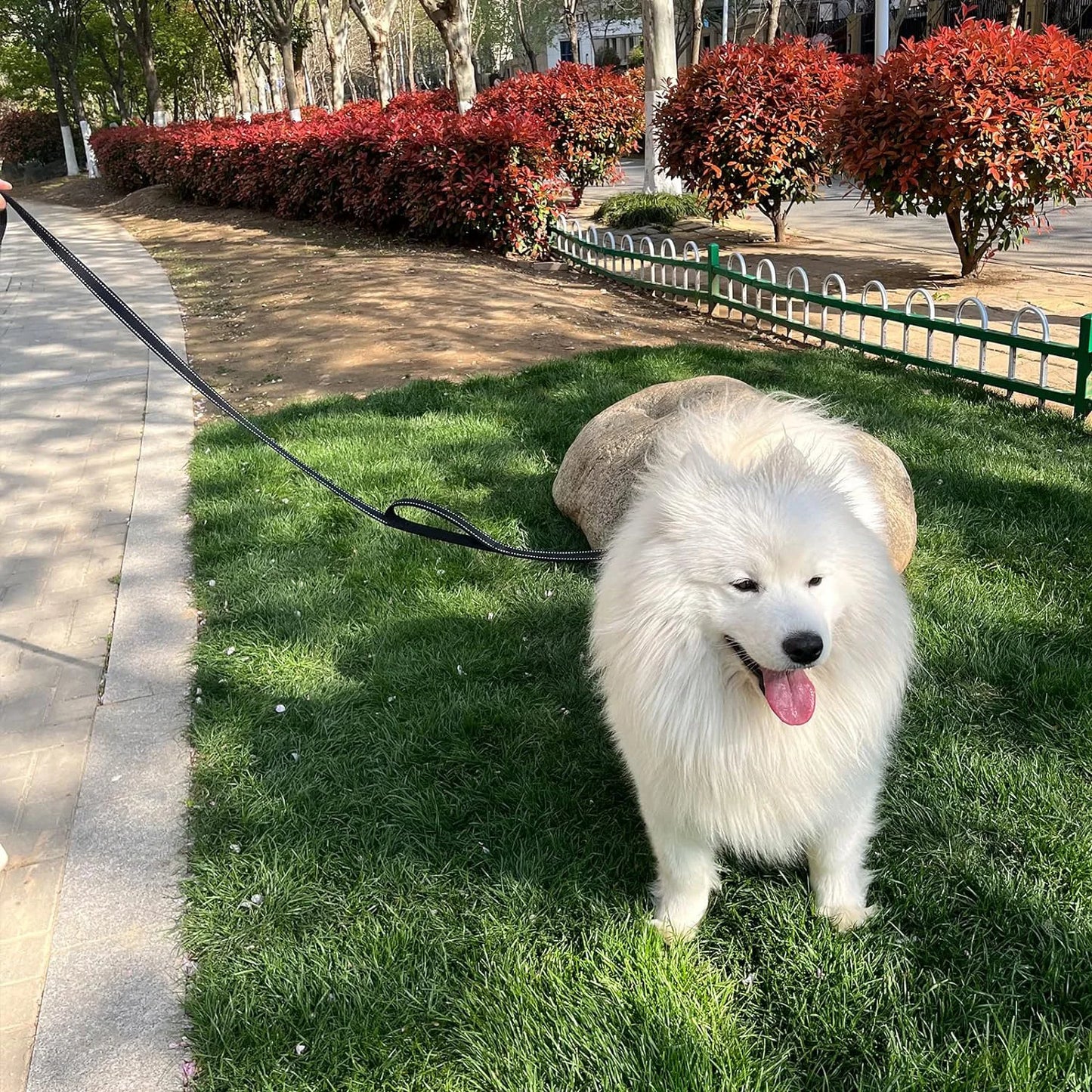 Heavy Duty Reflective Double Handle Dog Leash