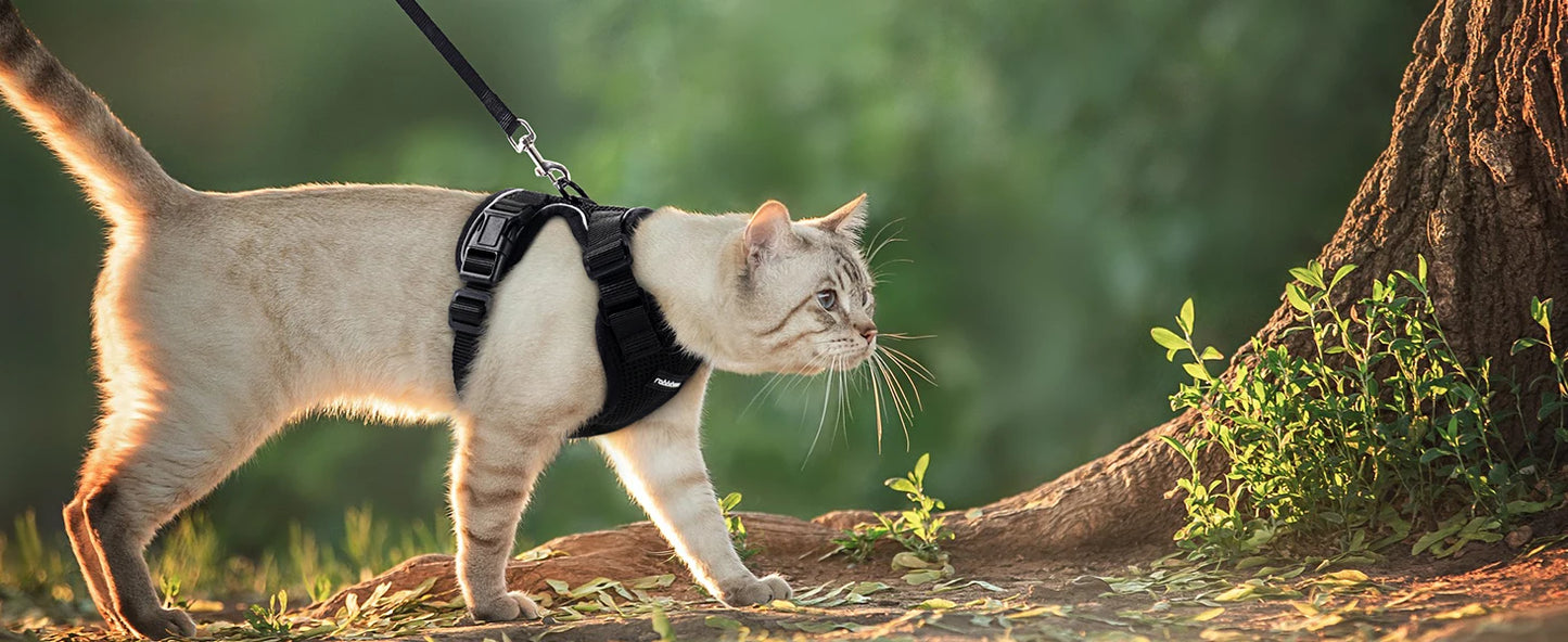Adjustable Cat Harness & Leash