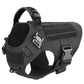 Large Dog Harness & Leash Set