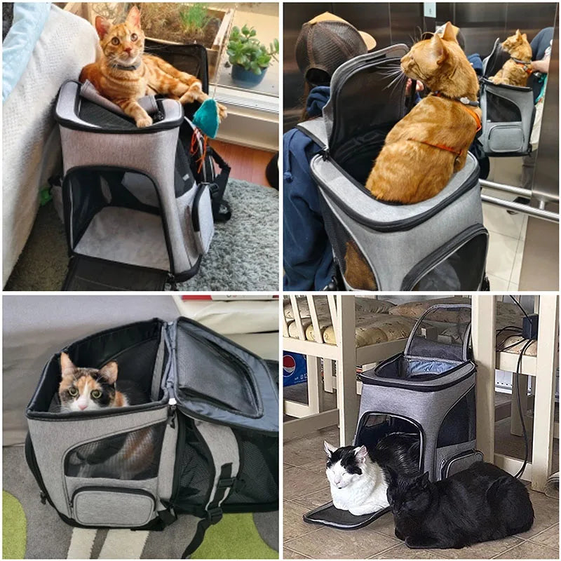 Foldable Breathable Pet Carrier Backpack
