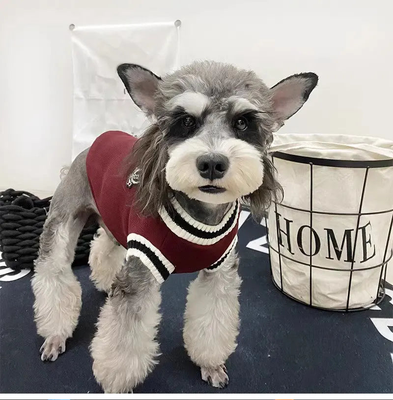 V-Neck Knit Dog Sweater