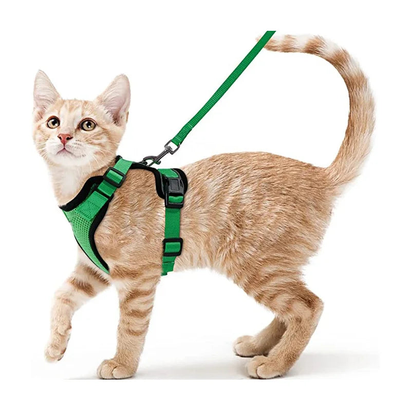 Adjustable Cat Harness & Leash