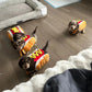 Hot Dog Shaped Halloween Dog Costume