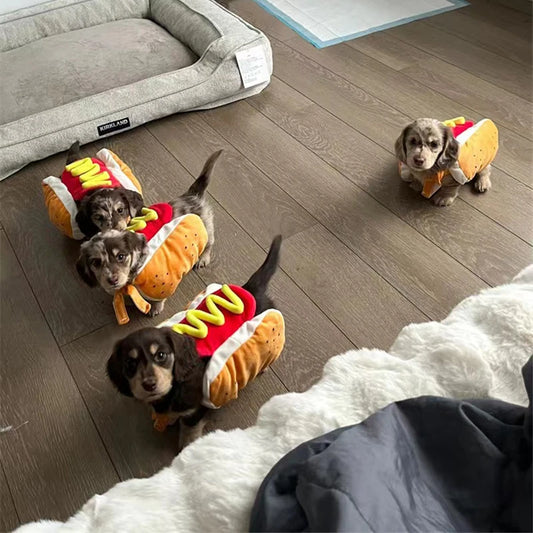 Hot Dog Shaped Halloween Dog Costume
