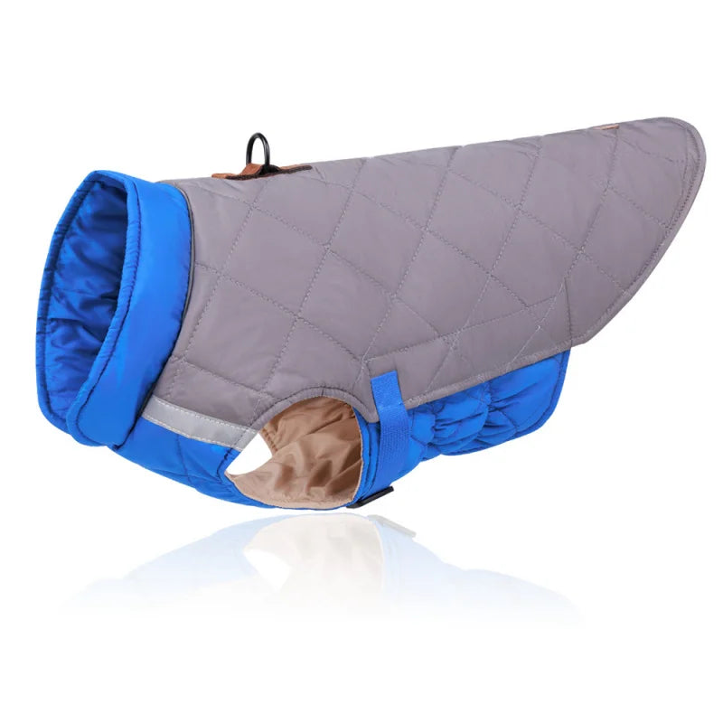 Winter French Bulldog Puppy Coat