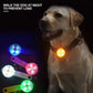 Weatherproof USB Rechargeable LED Pet Collar