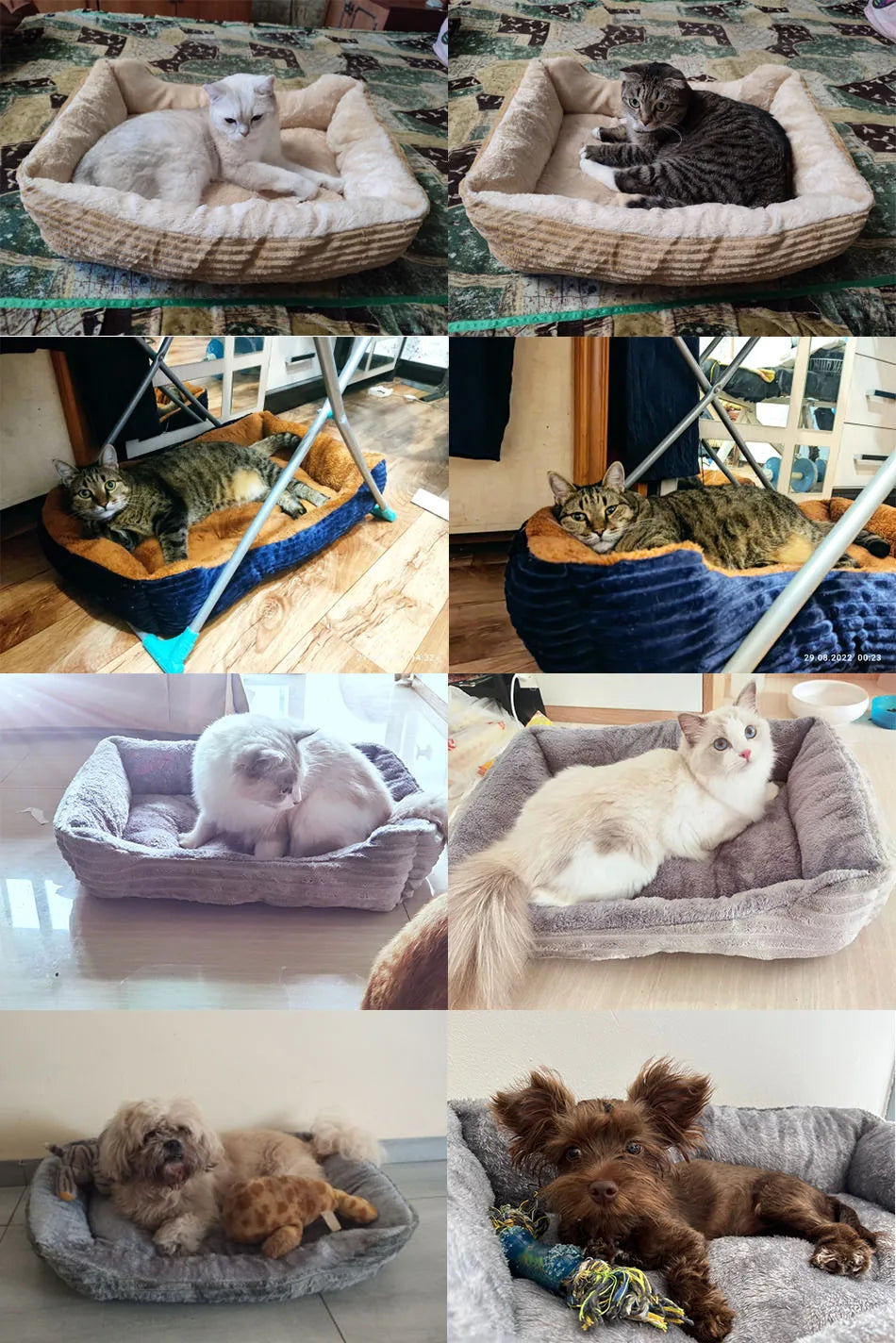 Square Plush Pet Bed