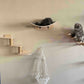 Wall-Mounted Cat Climbing Shelves with Hammock & Scratching Post