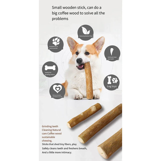 Squeaky Plush Dog Toys – Food Shapes