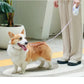 LED Retractable Dog Leash