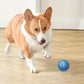 Smart Interactive Pet Toy Ball
