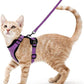 Adjustable Cat Harness & Leash