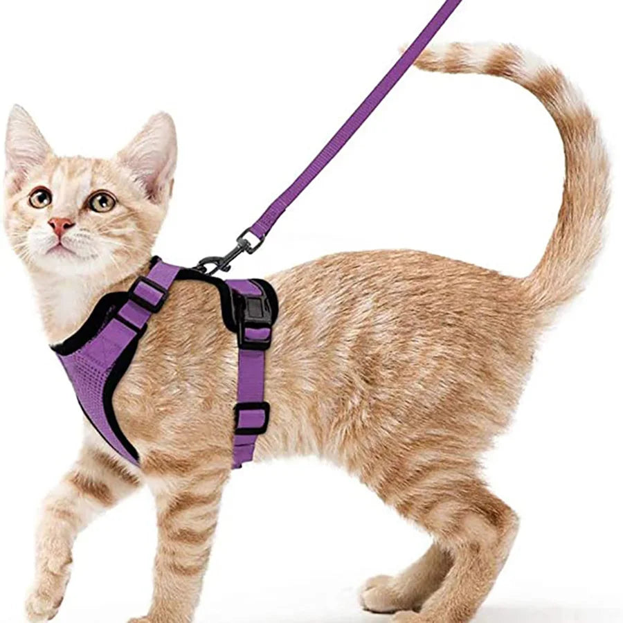 Adjustable Cat Harness & Leash