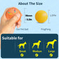 Smart Dog Toy Bal