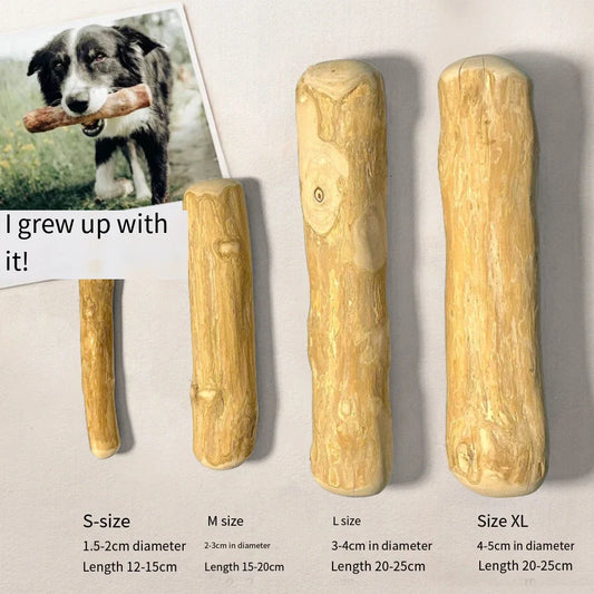 Squeaky Plush Dog Toys – Food Shapes