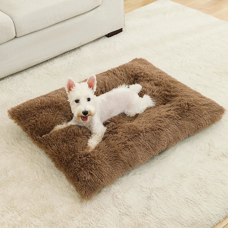 Soft Dog & Cat Bed