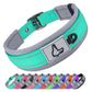 Padded Reflective Nylon Dog Collar
